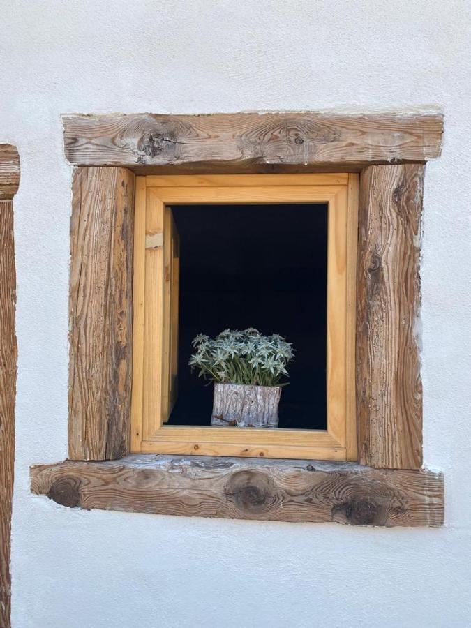 The Wooden House Valle di Cadore Exterior foto